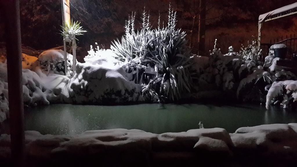 Alesta Butik Otel Ağva Dış mekan fotoğraf